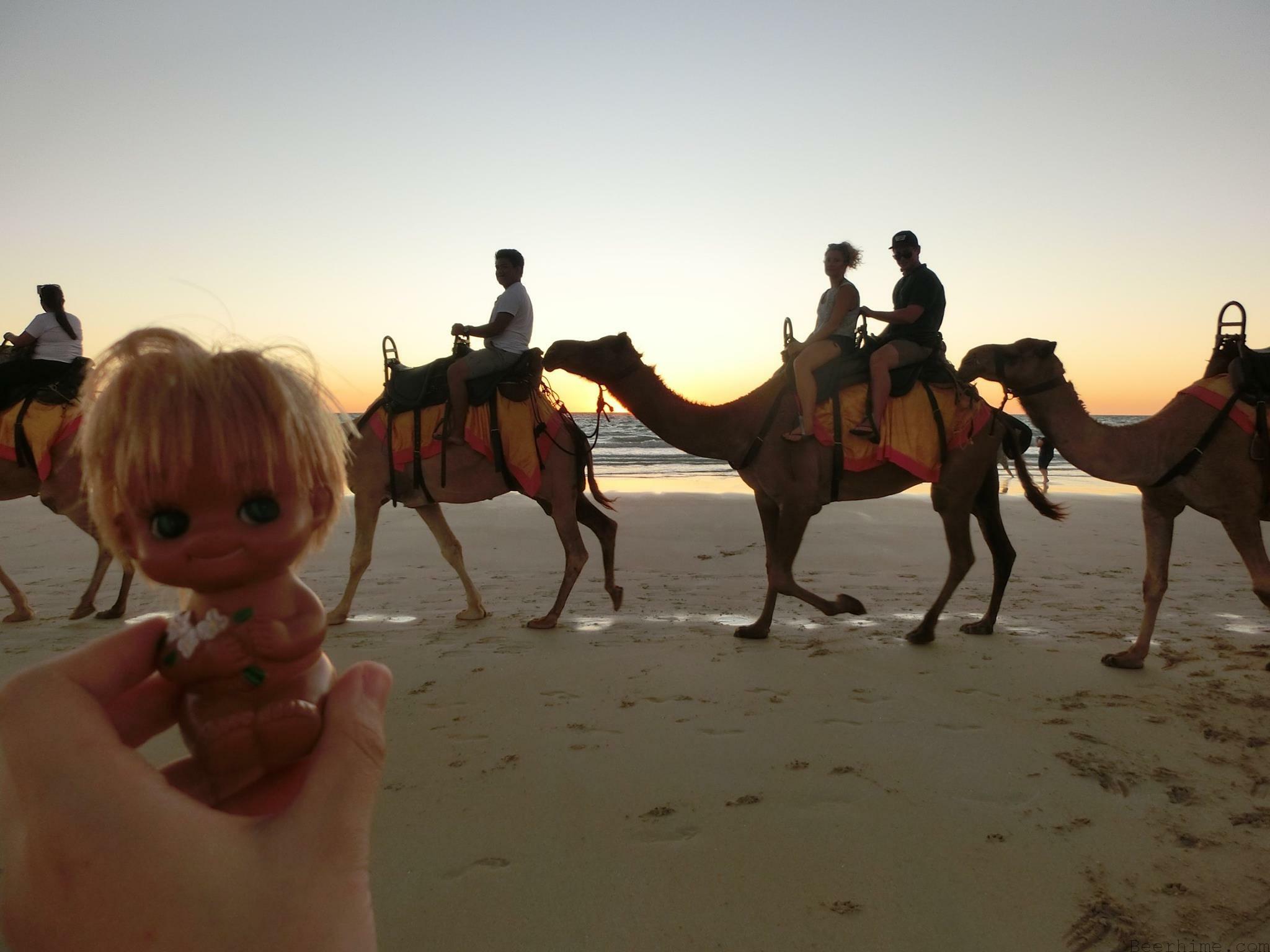 ☆オーストラリア・ブルーム♡キャメルライド・デジカメ写真館☆